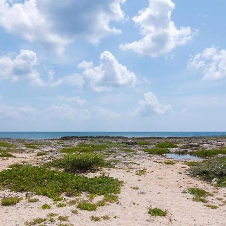 Ground Level Garden Condo At Akumal South By Tao Santamar エクステリア 写真