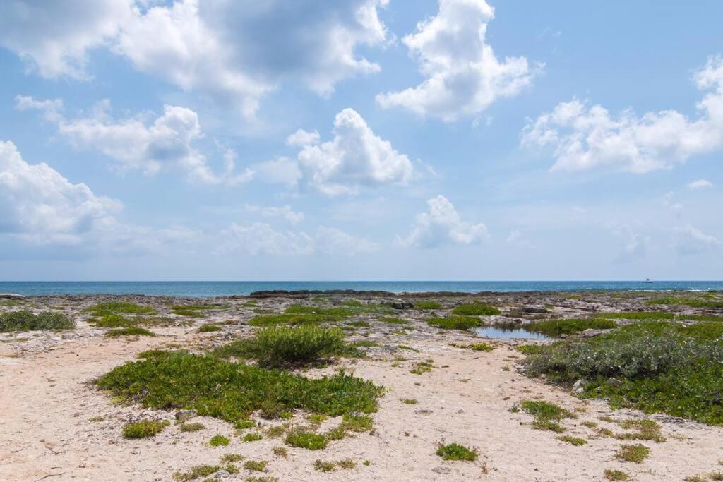 Ground Level Garden Condo At Akumal South By Tao Santamar エクステリア 写真
