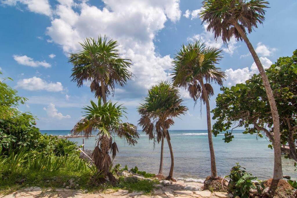Ground Level Garden Condo At Akumal South By Tao Santamar エクステリア 写真