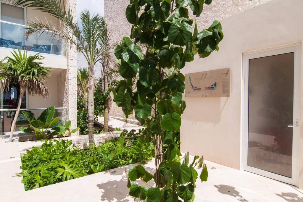 Ground Level Garden Condo At Akumal South By Tao Santamar エクステリア 写真