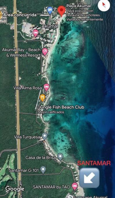 Ground Level Garden Condo At Akumal South By Tao Santamar エクステリア 写真